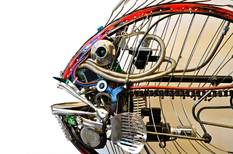 Rubbish removal rubbish disposal